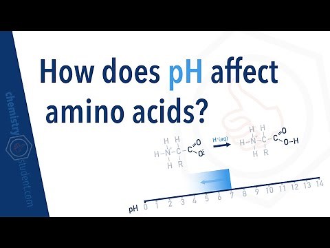 How does pH Affect Amino Acids?
