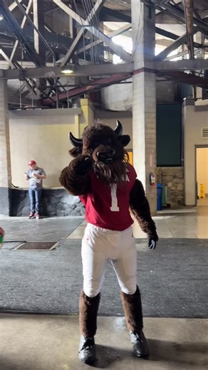 Indiana University’s Sports Media Program on Instagram: "It’s almost game time and Hoosier is ready! 🦬🏈🌹 #iufb #rosebowl #cfp"