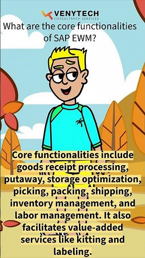 SAP EWM Q&A Series - The core functionalities of SAP EWM
