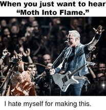 Moth to a Flame – Meaning, Origin and Usage - English-Grammar-Lessons.com