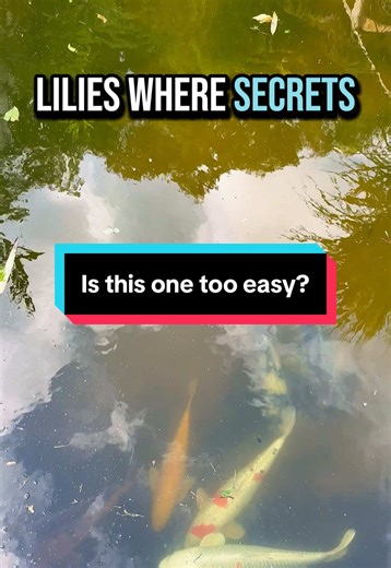 Riddlefish on TikTok