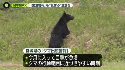 クマ目撃相次ぐ ゴルフ場に出没…シカ襲う映像も 「出没警報」も発表