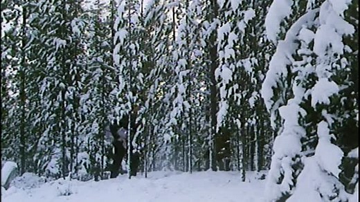 Milka.1980.Finland.Rauni_Mollberg