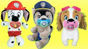 Nuevo video de juguetes con paw patrol bebes cachorros y la patrulla canina en español.Chupetes para los baby pups! En este nuevo capitulo de 2018 los peluches Chase, Skye, Marshall, Rubble, Rocky, Zuma, Everest y ryder deben llevar a dormir a los bebes y estos les pediran agua, cojines y baby pacifiers! conseguiran dormirse los pequeños perritos? No te pierdas esta nueva aventura para niños y niñas y no dejeis de ver los toys de paw patrol!! like por la patrulla canina y sus aventuras! | Solo P