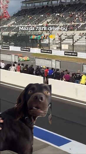 The Mazda 787B Sounds INSANE 😍 (Le Mans Rotary Engine Noise) #Shorts