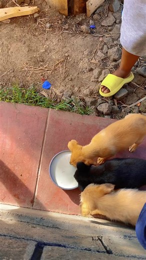 Understanding Intuitive Empaths and Their Gifts