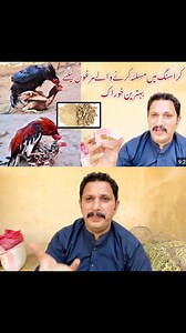 Weak Leg Problem in Chicken – Desi Totka That Works Part 9 | Nadeem shah aseel