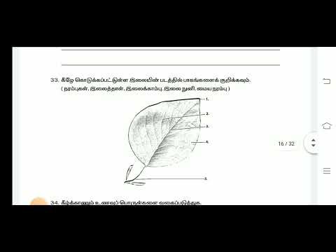 4th std Science Half Yearly Examination December-2025 tomorrow exam original Question paper TM