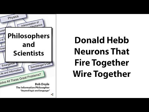 Donald Hebb: Neurons That Fire Together Wire Together.