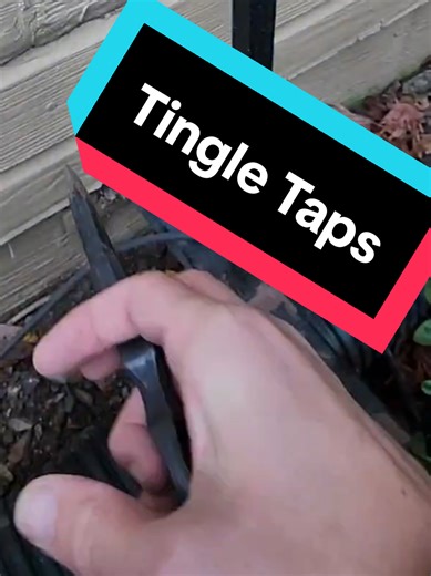 ASMR Tingles for Relaxation and Pest Control Insights