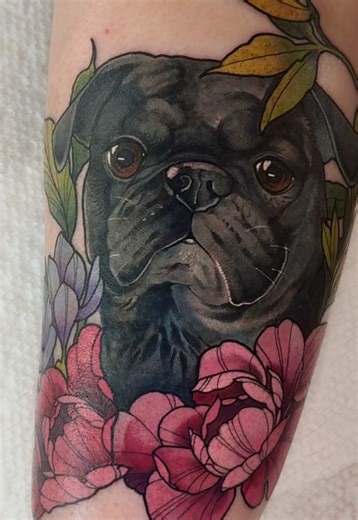 Sweet frank! I had the pleasure of tattooing this sweet boy today. I hope he likes it! #pug #pugtattoo #dog #dogtattoo #pettattoo