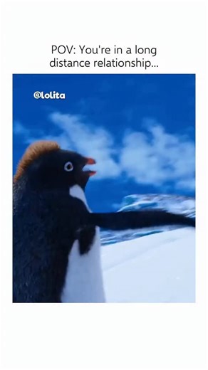 ‎|^ میرا ^|‎ on Instagram: "🐧 Interesting Fact: Happy Feet Two (2011) — Ramón, the highly dramatic Adelie penguin, is known for his Spanish accent and exaggerated flair, which is provided by actor Robin Williams (in one of his final animated roles). Williams also voiced the rockhopper penguin Lovelace in the first film. Ramón’s over-the-top declaration of his full name, “Ramón Carlos Boya García Sánchez Santa María La Niña Piña,” is a hilarious piece of improvised dialogue, designed to convey t