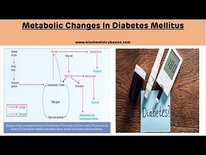 Metabolic Changes In Diabetes Mellitus