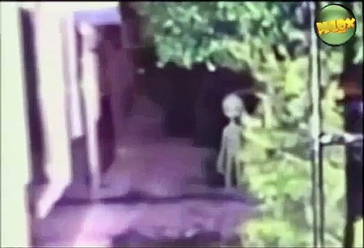 Real Aliens Caught On Camera Leaked ALIEN Footage 2013