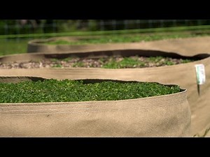 The Low Down on No-Till ft. BrownGuy420