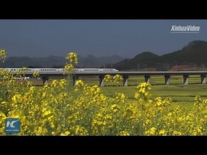 China's high-speed rail on fast track