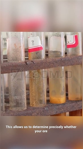 500+ Projects in 40 Years: Data-Driven Gold Processing Solutions for Maximum Yield.