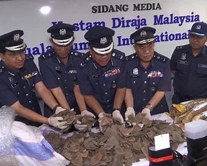 13 reactions | Royal Malaysian Customs had seized 75KG of ivory worth RM275,000, that was believed to have been smuggled from Lagos in Africa. Customs assistant director-general (enforcement), Datuk Mohd Pudzi Man said customs confiscated the smuggled items in the Free Trade Zone air cargo warehouse at 8.30pm on July 30. [Watch BNC on ASTRO 502, HYPPTV 410, MYTV 121 & Live streaming @ webtv.bernama.com] | Bernama TV | Facebook