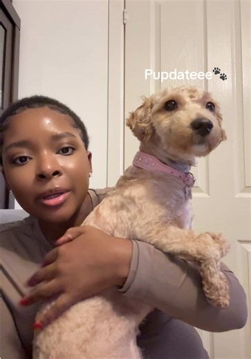 Caring for a Bald Maltipoo: Tips and Tricks