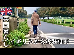 【英国暮らし】海外生活3日間の食事作り/イギリス､スーパーの商品/西洋ねぎのマッシュポテト/英国小さな街/夫婦と犬の暮らし/50代主婦/イギリスvlog/暮らしと料理動画
