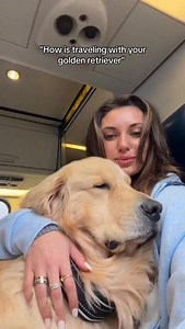 This was my golden retriever traveling back home from his holiday break 😭 he’s not real. #goldenretriever | Duke The Golden