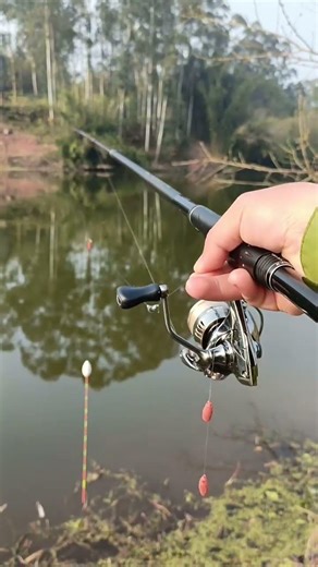 nét luôn 😍 #fishing #caucathugian #carpfishing #cuoccauca #cauca