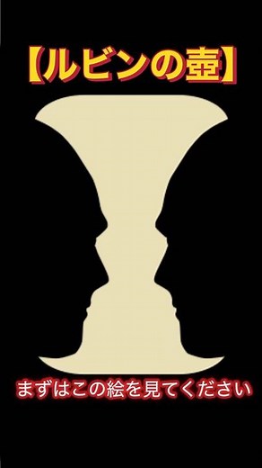 【ルビンの壺】見方によって壺にも向き合う人にも見える多義図形です。#ルビンの壺 #多義図形 #錯視 #錯覚 #不思議