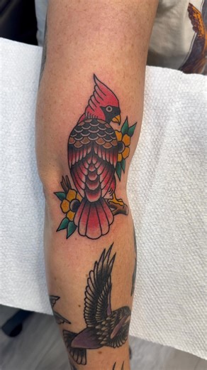 Shane McCormick on Reels