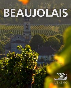 Happy Beaujolais Nouveau Day! Raise a glass of holiday cheer from one of France's most beloved wine regions. Uncork festive French traditions today: http://bit.ly/345QD7J | Viking