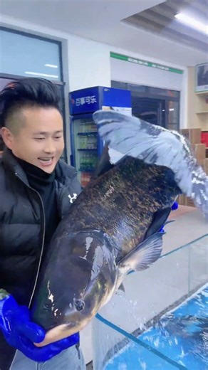 Wild Fish Live Delivery 🐟 Fresh Fish Shipped Nationwide! #Shorts