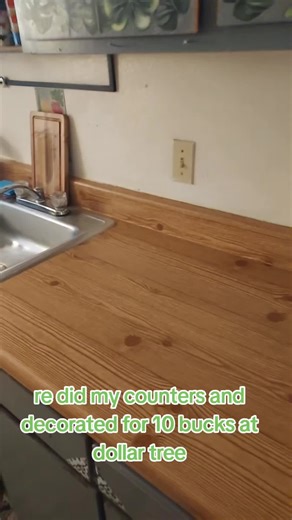 Transform Your Kitchen on a Budget with Dollar Tree Finds