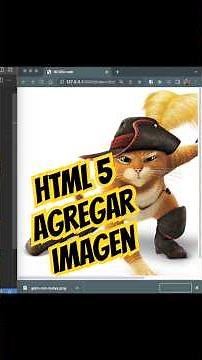 HTML 5 Tutorial: How to Add an Image to Your Page #img #html #shorts #tutorial