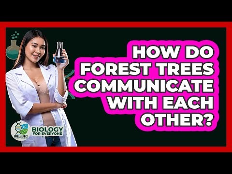 How Do Forest Trees Communicate With Each Other? - Biology For Everyone