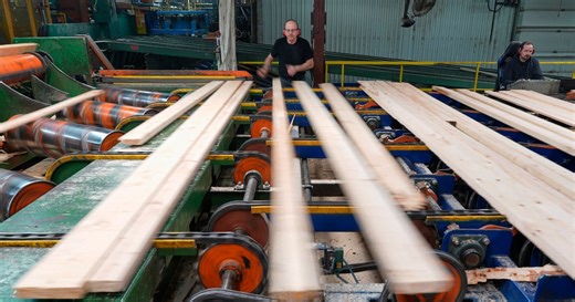 U.S. increases duties on Canadian softwood lumber amidst trade war