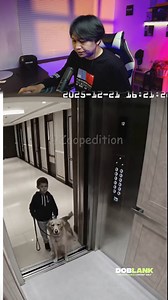 Dogs’ instincts > human instincts when it comes to danger?🥶#sigma #lifestyle | Doblank TV