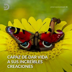 Johannes Stötter es una artista especializada en Body painting capaz de convertir cualquier lienzo humano en una obra de arte. | Discovery Channel España