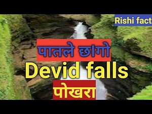 Devid falls (पातले छागो)#rishifact