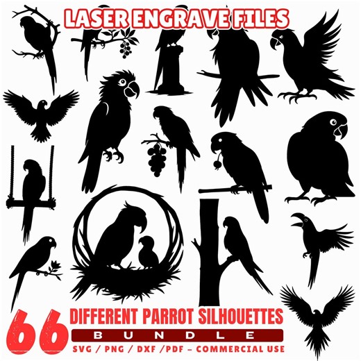Parrot Silhouettes Laser Engrave Files: SVG, PNG, PDF Bundle - Etsy