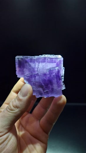 Fluorite from La Collada Mine ( closed ), stunning phantoms and exceptional luster. 7 x 5.5 x 5 cm 297 g Available #fluorite #fluoritecrystal #fluoritecollector #fluoritecube #fluoritecollection laviescafluorite spanishfluorite spain mineralcollection finemineralspecimen fineart fineartminerals purple crystals crystalcollector | Damien Taramini