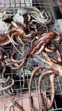 Yummy Cooking Octopus Recipes #OctopusRecipes #EasyCooking #SeafoodLovers #DeliciousRecipes