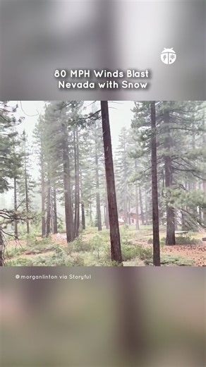 54K views · 686 reactions | Winter weather brought heavy snow and dangerous winds to parts of Nevada on Wednesday, with gusts up to 80 mph possible in some regions. This video shows blowing snow in Incline Village on the northeastern shores of Lake Tahoe. The National Weather Service reported steady snowfall in elevations above 7,500 feet. | WeatherBug | Facebook