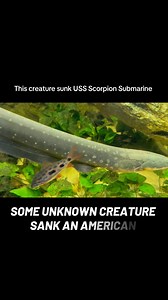5.7K views · 46 reactions | This creature sunk USS Scorpion Submarine #igorkryan #ussscorpion #kraken #leviathan | Creator’s Riddle: Darwin vs. God | Facebook