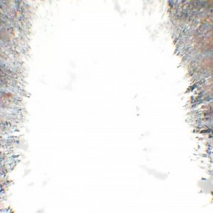 Wedding Guest Book Alternative, Wedding Guest Book, Signature Tree, Pine Tree Custom Wedding Guestbook Rustic Wedding Book Unique Guest Book - Etsy