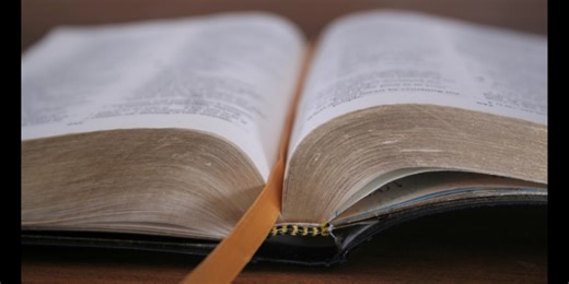 How to Nourish Your Testimony of Jesus | 28 March 2025 | LDS Daily