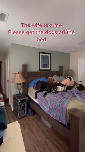 Please help!! #helpme #foryouu #treattime. #foryourpage #saveme #marriedlife #dogs #doggo #helpisontheway #beasts #pet #happywifehappylife