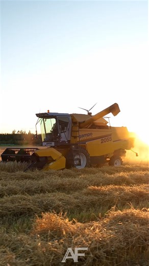 Juho Sippola on Instagram: "Sampo 2055🌞 - Ohran puintia Lapualla🇫🇮 #samporosenlew #harvest #harvest2025 #puinnit #agriculture #farming #koneviesti #kasvukausi2025 #finland"