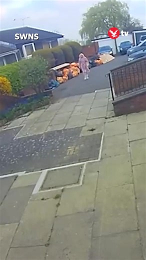 A dive-bombing buzzard has forced a village primary school to ban children from going outside following a spate of attacks. The bird of prey has been attacking villagers in Havering-atte-Bower, near Romford, Essex, since Easter weekend, according to residents. | The Independent