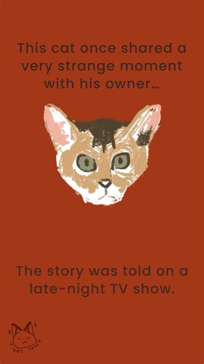 Nicolas Cage Told the Strangest Story About His Cat 🐾 | Famous People’s Cats