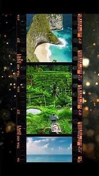 Make Your Reels Viral with Canva Animated Films