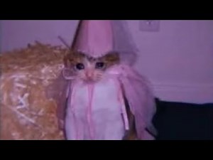 [OLD] Soapy LMS | Jokesaken